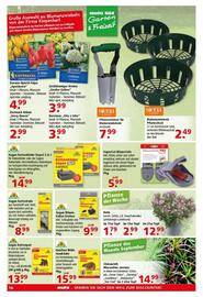 Multi Markt Prospekt woche 38 Seite 18