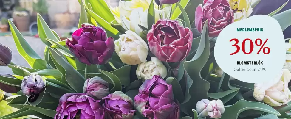 Blomsterlandet reklamblad (giltig till och med 21-09)