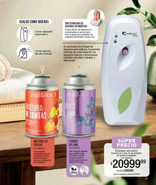 Catálogo Millanel Cosmética Página 171