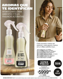 Catálogo Millanel Cosmética Página 177