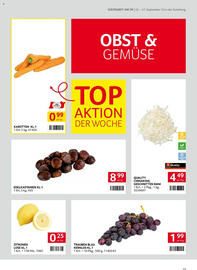 Transgourmet Flugblatt woche 39 Seite 13
