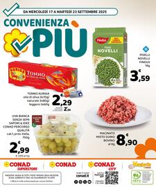 Volantino Conad Margherita | Convenienza Più Pagina 8