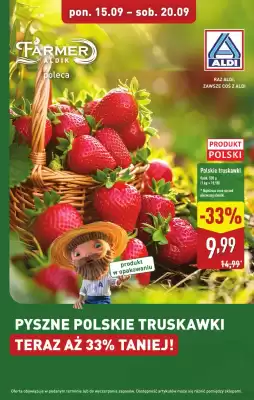 ALDI gazetka (ważność do 20-09)