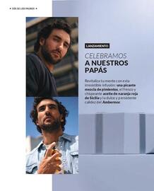 Catálogo Avon Página 5