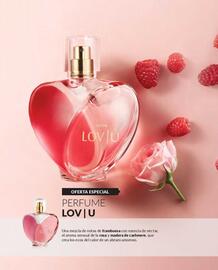 Catálogo Avon Página 63