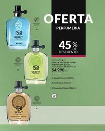 Catálogo Avon Página 76