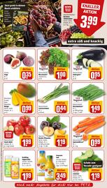 REWE PETZ Prospekt woche 38 Seite 6
