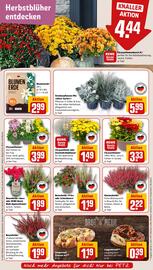 REWE PETZ Prospekt woche 38 Seite 7
