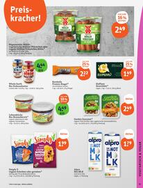 Basic Prospekt Seite 13