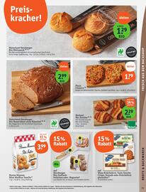 Basic Prospekt Seite 15