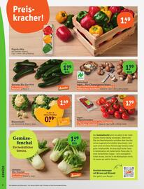 Basic Prospekt Seite 4