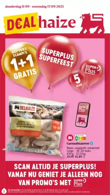Proxy Delhaize folder (geldig t/m 17-09)