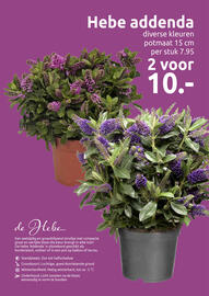 Deka Tuin folder Pagina 11