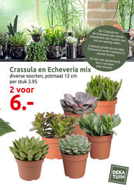 Deka Tuin folder Pagina 5