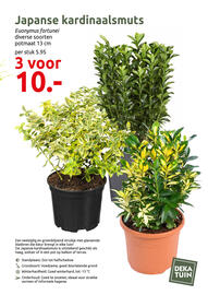 Deka Tuin folder Pagina 9