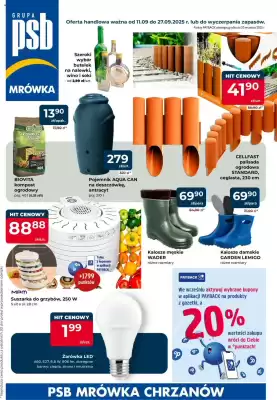 Mrówka gazetka (ważność do 27-09)