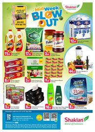 Shaklan leaflet Page 1