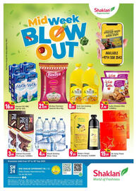Shaklan leaflet Page 1