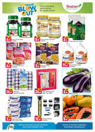 Shaklan leaflet Page 2