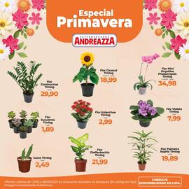Catálogo Supermercados Andreazza Página 1