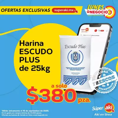 Folleto Super Aki (válido hasta 15-09)