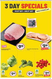 IGA catalogue Page 1