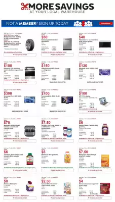 Costco flyer