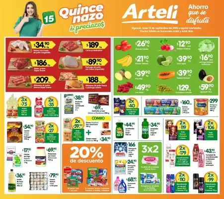 Folleto Arteli (válido hasta 15-09)