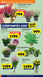 ALDI akciós újság hét 38 Oldal 24