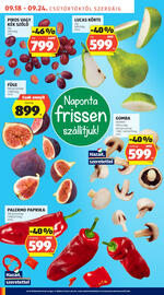 ALDI akciós újság hét 38 Oldal 8