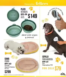 Catálogo Cklass Página 69