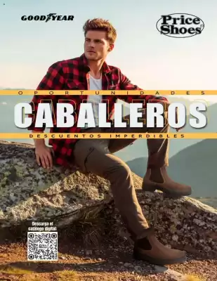 Catálogo Price Shoes (válido hasta 16-12)
