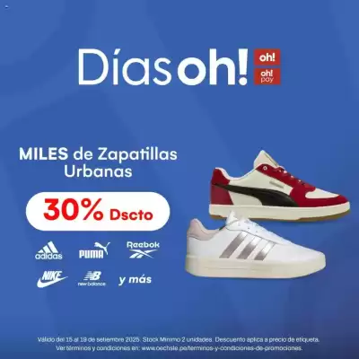 Catálogo Oechsle (válido hasta 20-09)