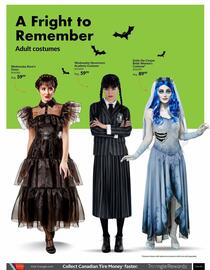 Party City flyer Page 13