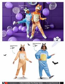 Party City flyer Page 19