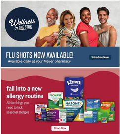 Meijer weekly ad week 38 Page 42