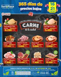 Catálogo Supermercados Surtiplaza semana 38 Página 5
