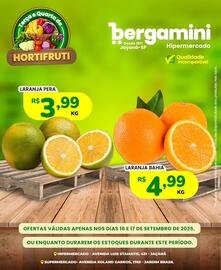Catálogo Supermercado Bergamini Página 5