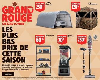 Canadian Tire flyer week 38 Page 3