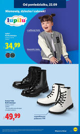 Lidl gazetka tydzień 39 Strona 17
