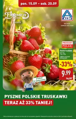 ALDI gazetka (ważność do 20-09)