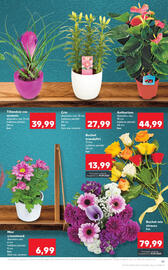 Catalog Kaufland săptămâna 38 Pagină 19