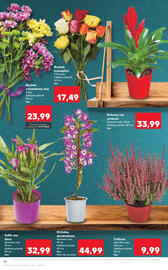Catalog Kaufland săptămâna 38 Pagină 18