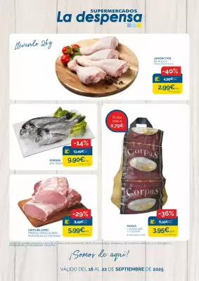 Folleto Supermercados La Despensa (válido hasta el 22-09)