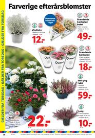 Lidl tilbudsavis Side 6