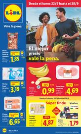 Catálogo Lidl semana 39 Página 1