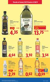 Catálogo Lidl semana 39 Página 19