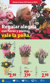 Catálogo Lidl semana 39 Página 38