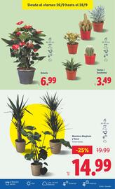 Catálogo Lidl semana 39 Página 39