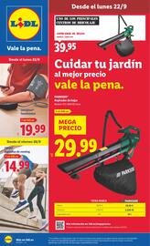 Catálogo Lidl | de Bazar Página 1